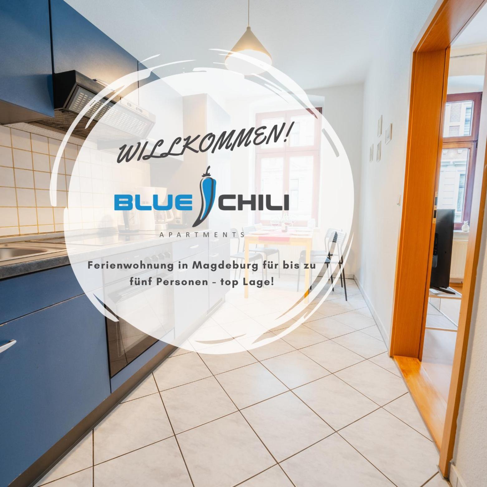 Blue Chili 08 - Magdeburg 2-Zimmer Altbau, Wi-Fi, 5 Pax Kültér fotó